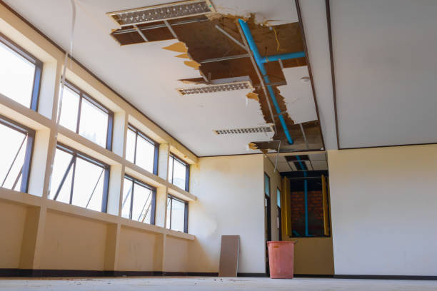 Best Water damage mitigation services  in Shortsville, NY