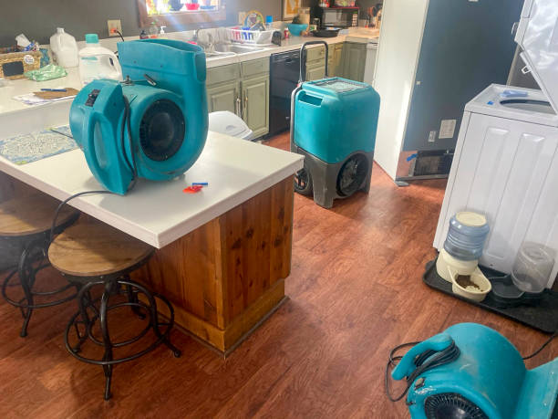 Best Carpet water damage restoration  in Shortsville, NY