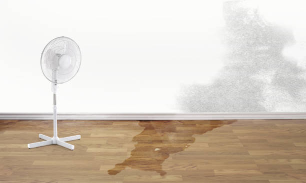 Best Flood restoration services  in Shortsville, NY