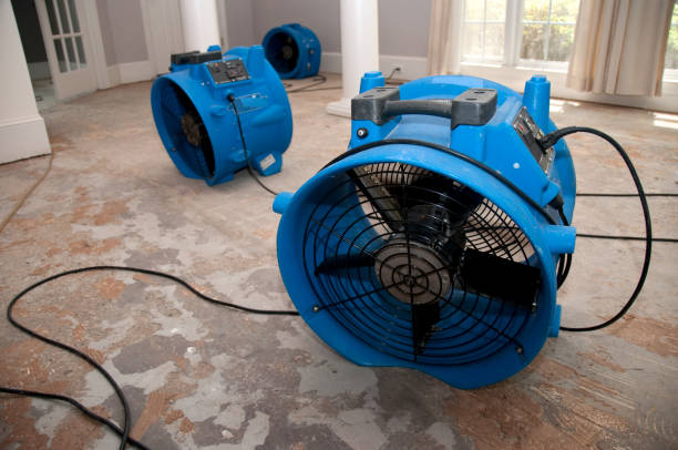 Best 24-hour water damage restoration  in Shortsville, NY