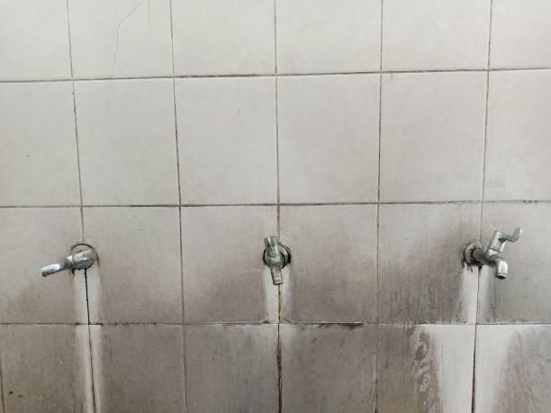 Best Fire Damage Restoration  in Shortsville, NY