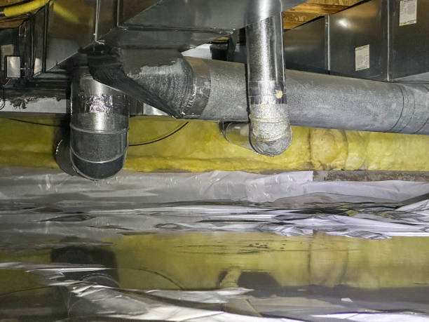 Best Ceiling water damage repair  in Shortsville, NY