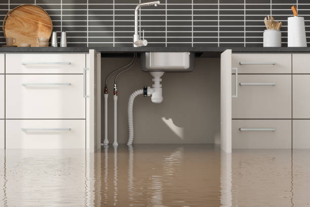 Best Basement water damage restoration  in Shortsville, NY