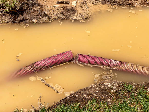 Best Water damage cleanup near me  in Shortsville, NY