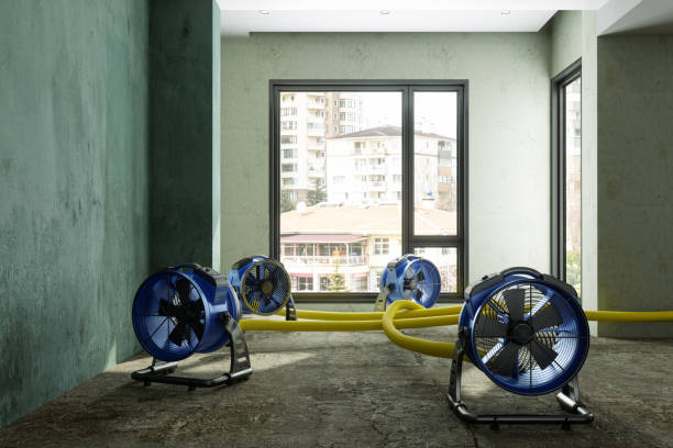 Professional Water damage restoration in Shortsville, NY