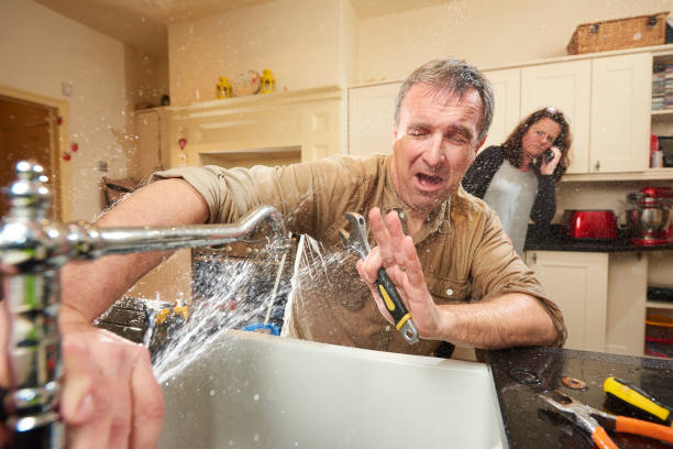Best Mold removal after water damage  in Shortsville, NY